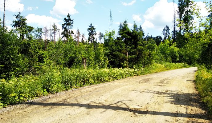 Photo 2 of the Bikemap route "часть 1 (завис)"
