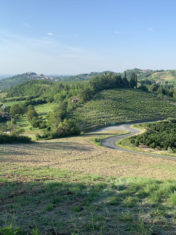 up &amp; down around the Hills 🚴🏻