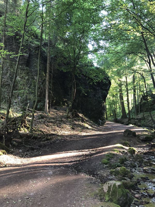 Fischbach, Tabarz , Torstein, Inselsberg, Fischbach