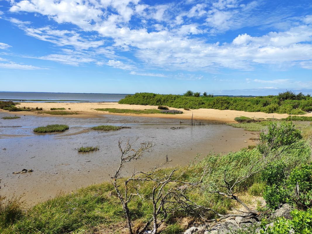 plage du Teich