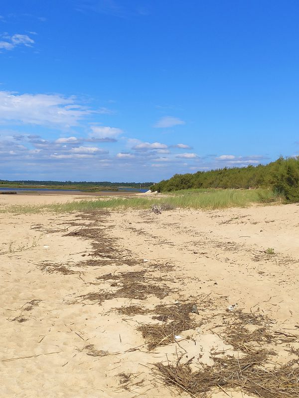 plage du Teich