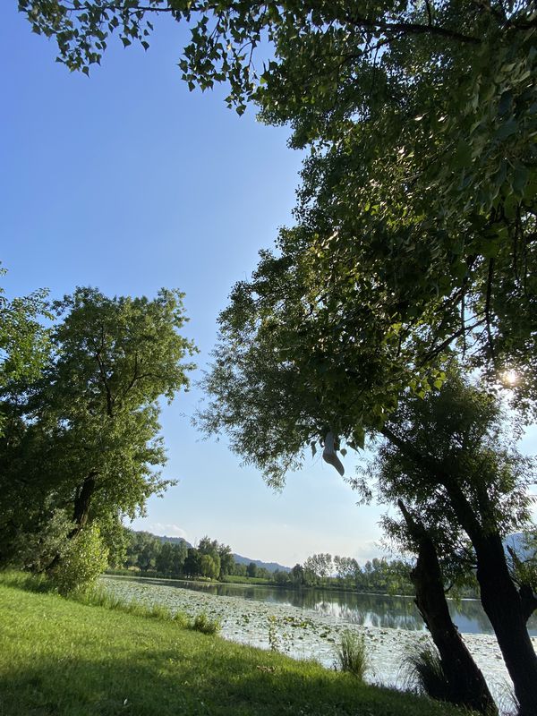 Percorso da Via Felice Cavallotti 4, Conegliano
