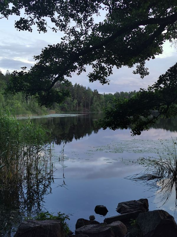 Åkeshovsvägen 14 to Åkeshovsvägen 16