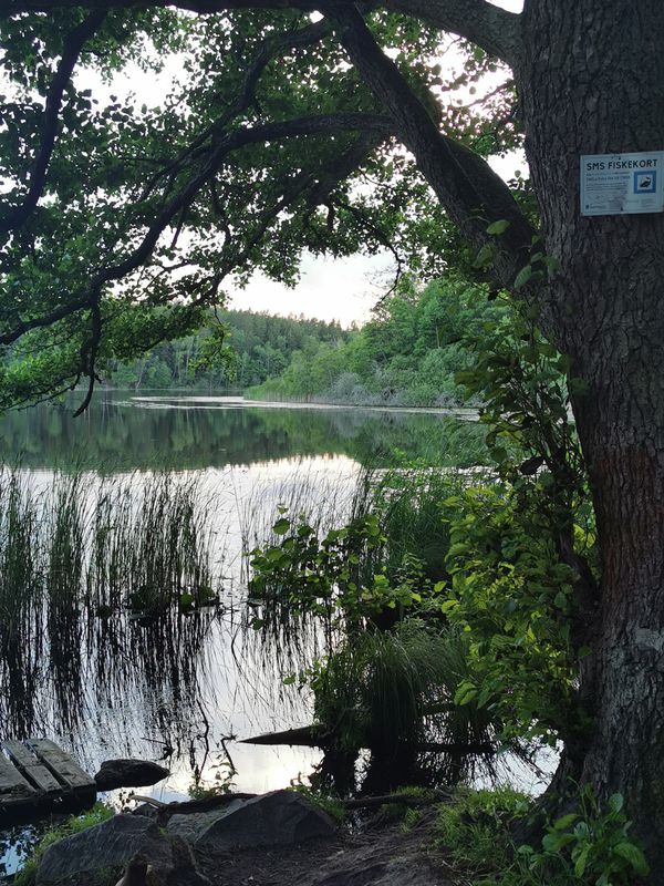 Åkeshovsvägen 14 to Åkeshovsvägen 16