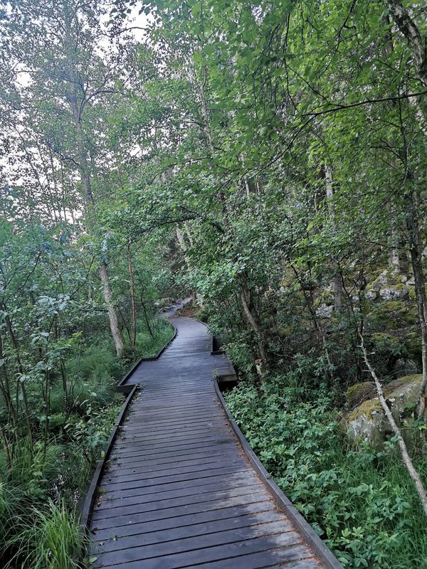 Åkeshovsvägen 14 to Åkeshovsvägen 16