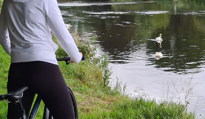Photo 1 of the Bikemap route "Shanavine Way 32, Clonmel to Kilsheelan, stop 358061"