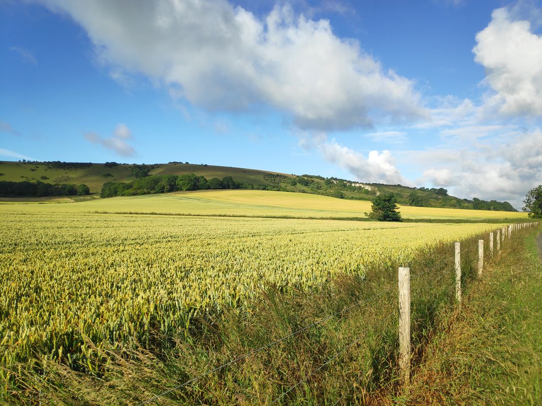 Lewes
