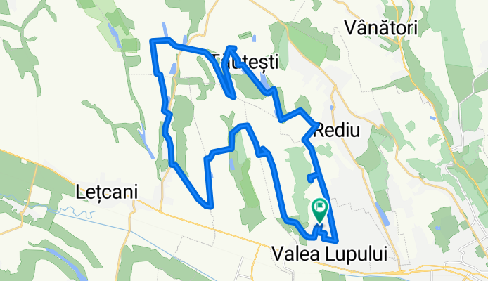 Str. Vulturului, Valea Lupului to Str. Vulturului, Valea Lupului