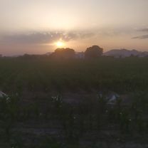 Ruta desde Calle Derechos Humanos 15, Churriana de la Vega