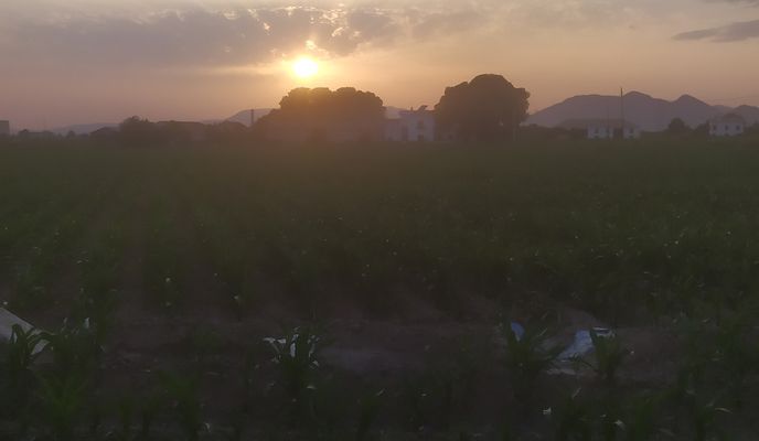 Foto 1 der Bikemap-Route "Ruta desde Calle Derechos Humanos 15, Churriana de la Vega"