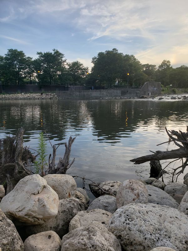 North Albany Avenue 4642, Chicago to North Shore Channel Trail, Chicago