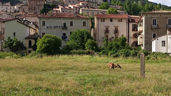 Foto 3: Fabio Menichini
