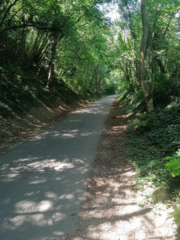 Jadranska cesta to Spodnje Škofije 226