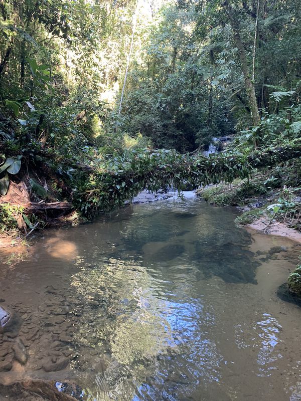 Easy ride in Brusque