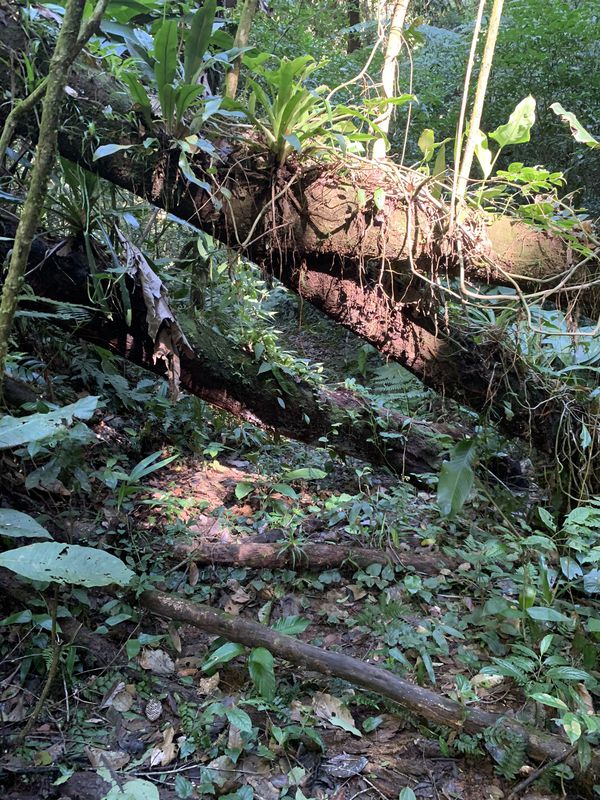 Easy ride in Brusque