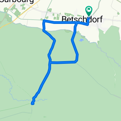 De 79 Rue du Docteur Deutsch, Betschdorf à 2A Grand'Rue, Betschdorf
