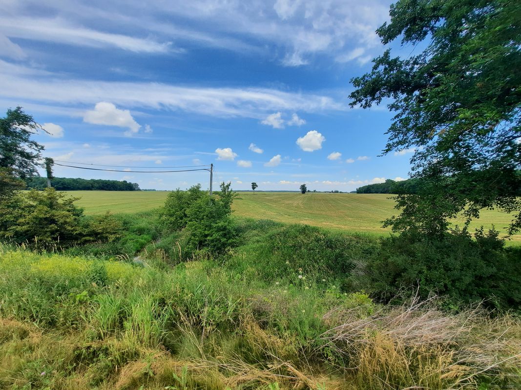 West Williams Street 133, Ovid to West Williams Street 133, Ovid