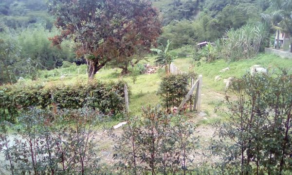 Photo 3: jorge Mican
