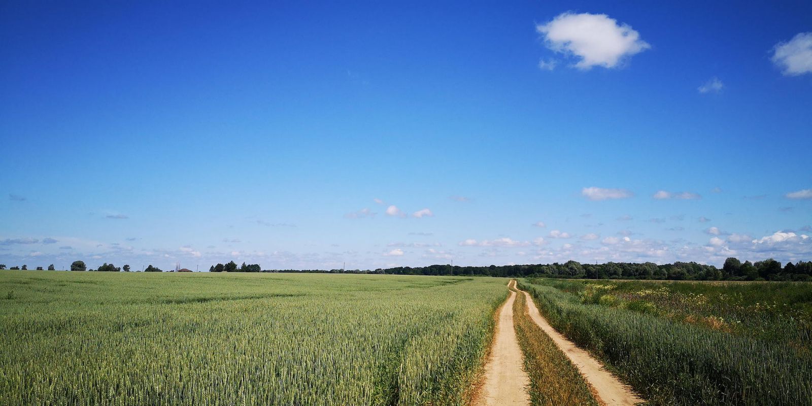 слупцы-сялец (уздоўж Нёмана)