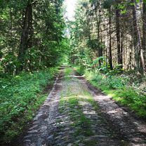 слупцы-сялец (уздоўж Нёмана)