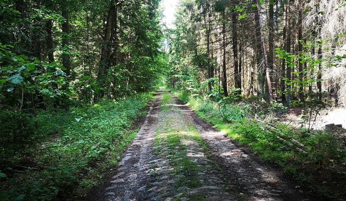 Zdjęcie 1 trasy Bikemap „слупцы-сялец (уздоўж Нёмана)”