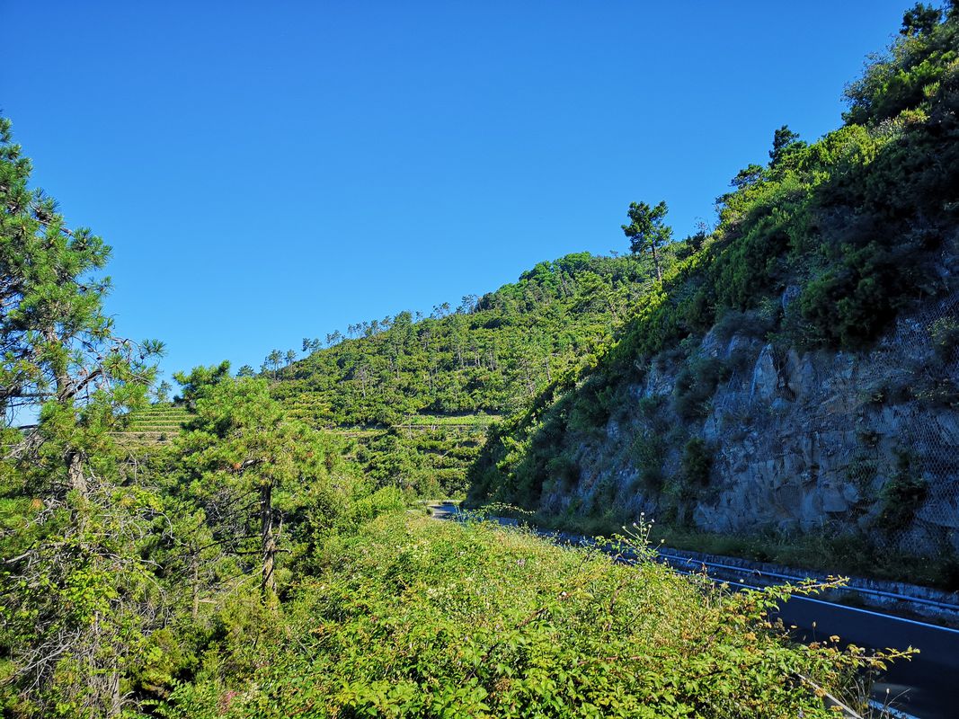 Da Via Giulio della Torre 103, La Spezia a Via Fegina 94, Monterosso al Mare