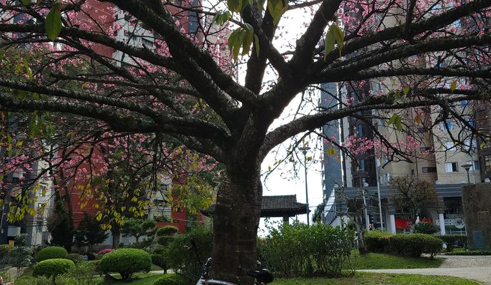 Foto 2 de la ruta de Bikemap "De Rua Visconde de Cairu 434 a Rua Visconde de Cairu 434"