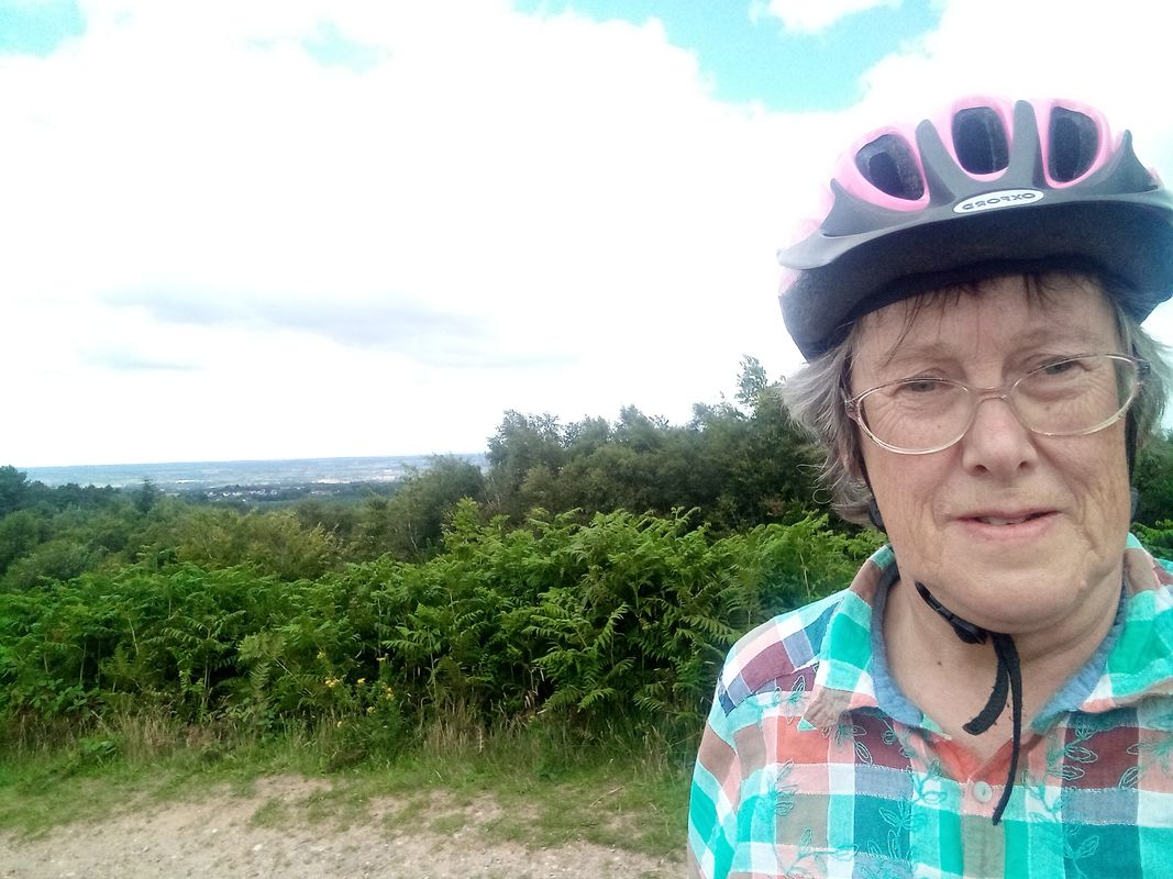Lichfield Beacon Park to Castle Ring