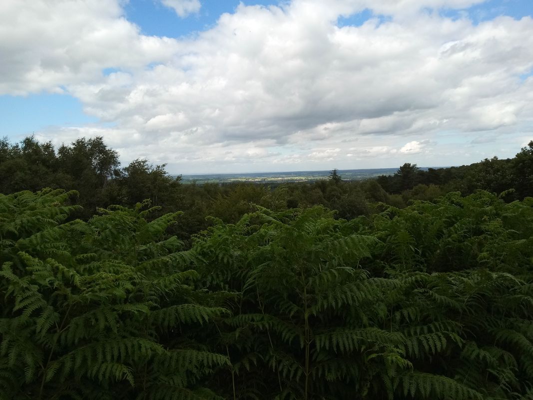 Lichfield Beacon Park to Castle Ring