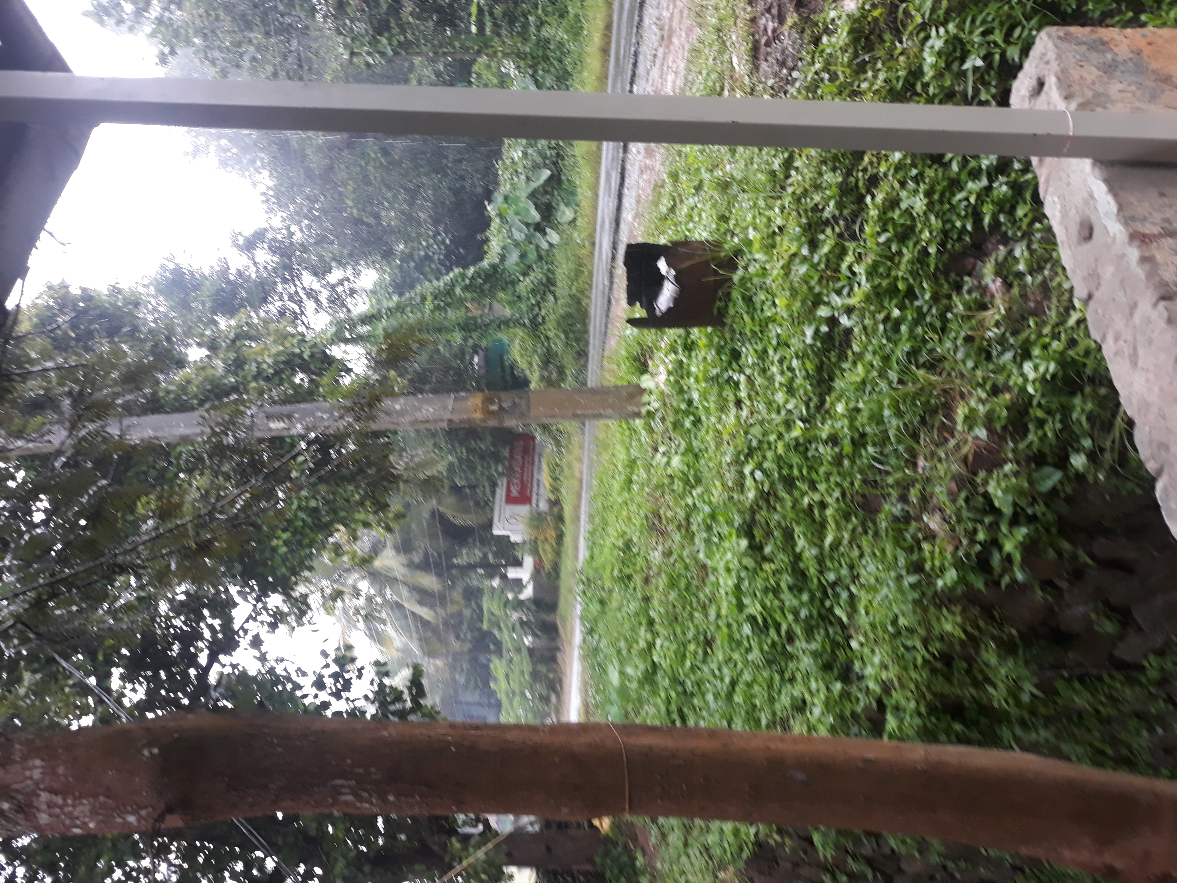 Sulthan Bathery - Chulliyode - Pandalur - Gudalur Road, Sultan Bathery to Sulthan Bathery - Chulliyode - Pandalur - Gudalur Road, Sultan Bathery