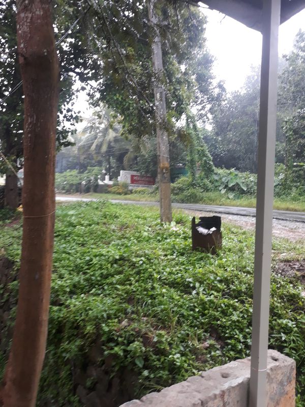 Sulthan Bathery - Chulliyode - Pandalur - Gudalur Road, Sultan Bathery to Sulthan Bathery - Chulliyode - Pandalur - Gudalur Road, Sultan Bathery
