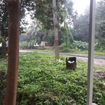 Sulthan Bathery - Chulliyode - Pandalur - Gudalur Road, Sultan Bathery to Sulthan Bathery - Chulliyode - Pandalur - Gudalur Road, Sultan Bathery