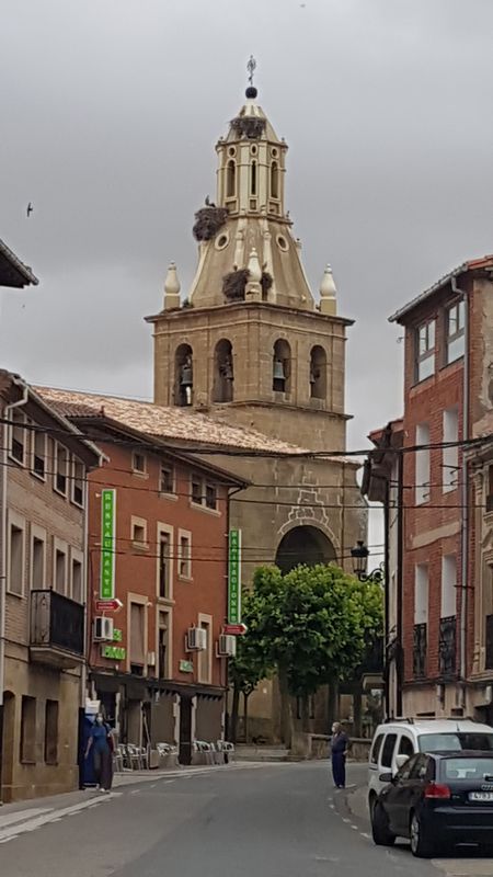 Anguciana - Sto Domingo de la Calzada