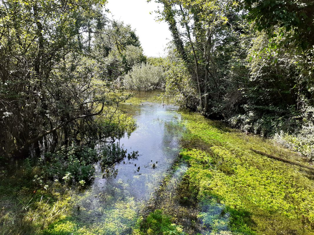 Da Castions di strada a Località Dogana Vecchia 4, Castions di strada