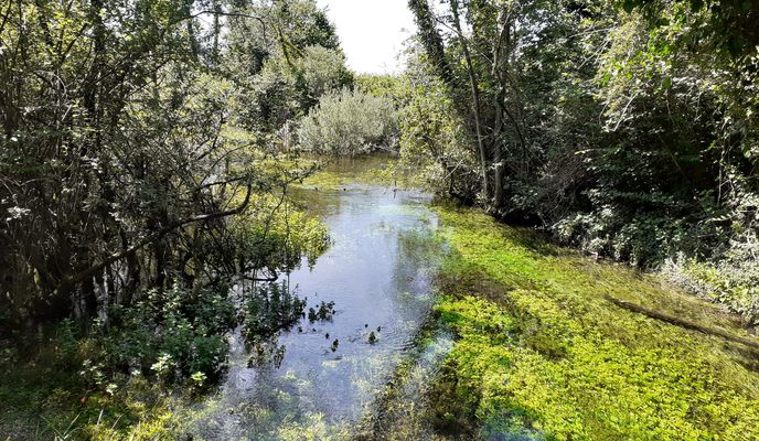 Photo 1 of the Bikemap route "Da Castions di strada a Località Dogana Vecchia 4, Castions di strada" Photo 1 of the Bikemap route "Da Castions di strada a Località Dogana Vecchia 4, Castions di strada"