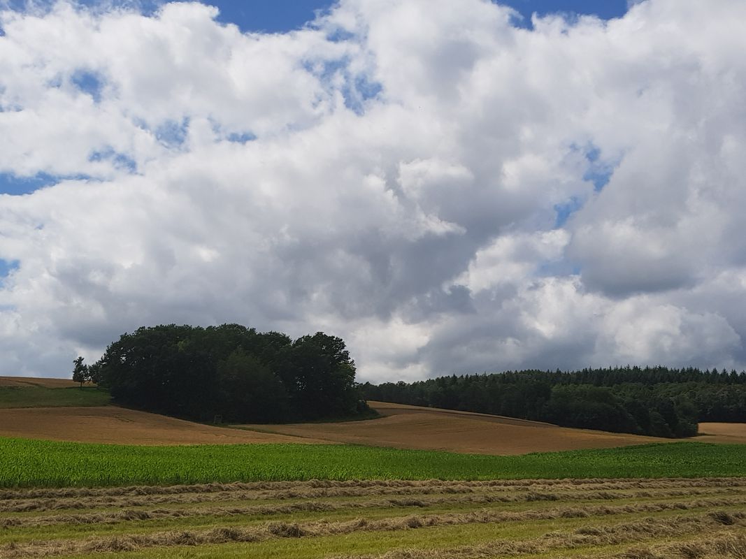 zur Ruine Aura, Wittelsbacher Turm und zurück