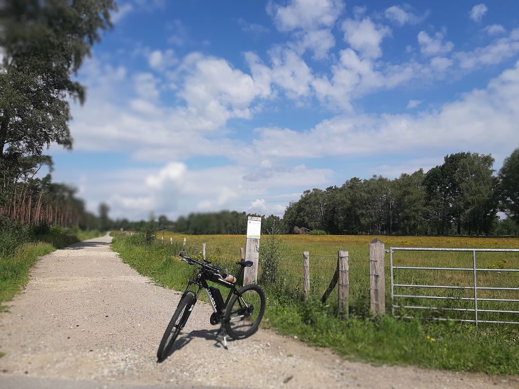 kattevenne