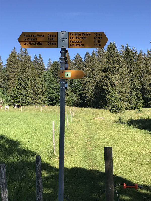 Relaxed route in La Chaux-de-Fonds