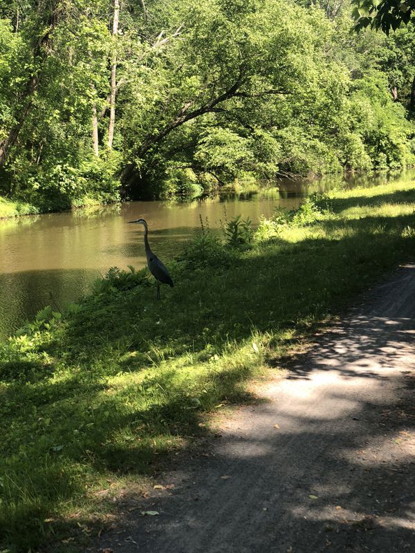 21 York St, Lambertville to Washington Crossing Pennington Rd, Titusville
