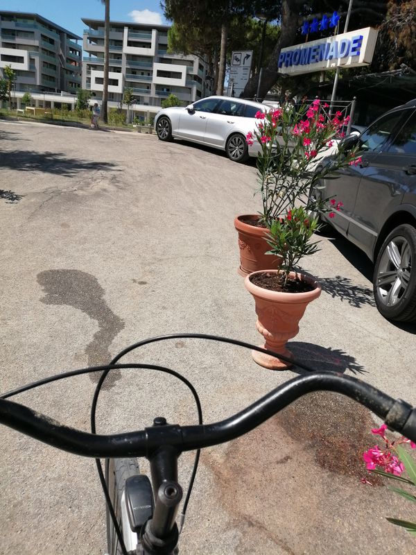 Da Via Aldo Moro 63, Montesilvano a Via Aldo Moro 65, Montesilvano