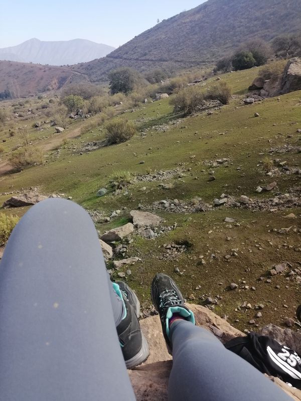 Cuestazo, Bandurrias.
