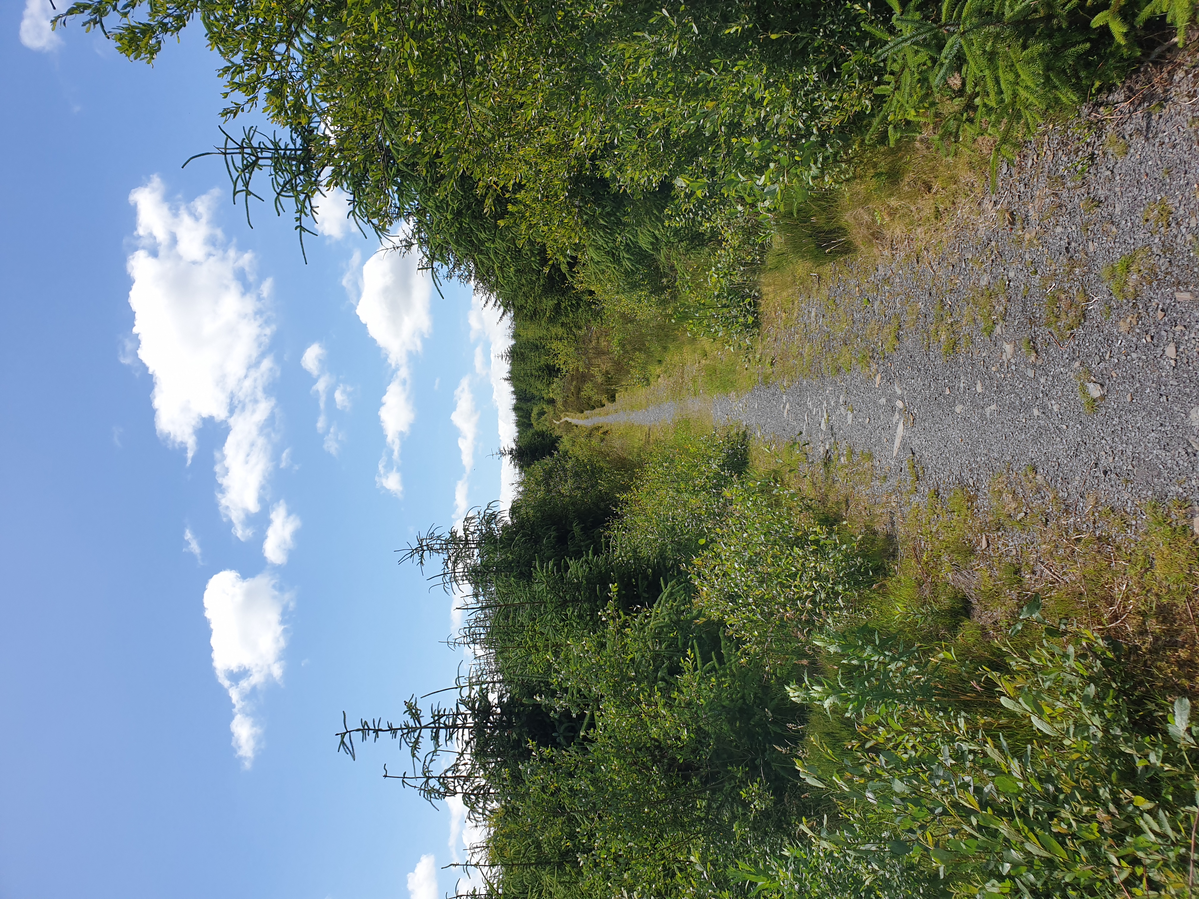 B4501 to B4501