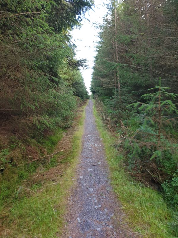 B4501 to B4501