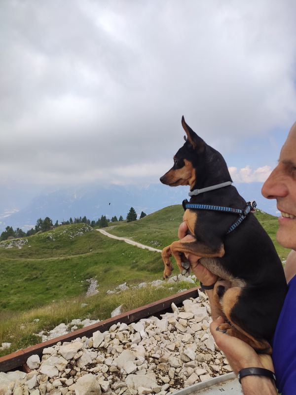 Da Via Col de Gou, Belluno a Piazzale Nevegal 165