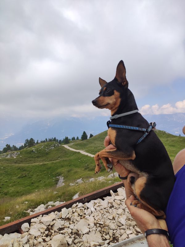 Da Via Col de Gou, Belluno a Piazzale Nevegal 165