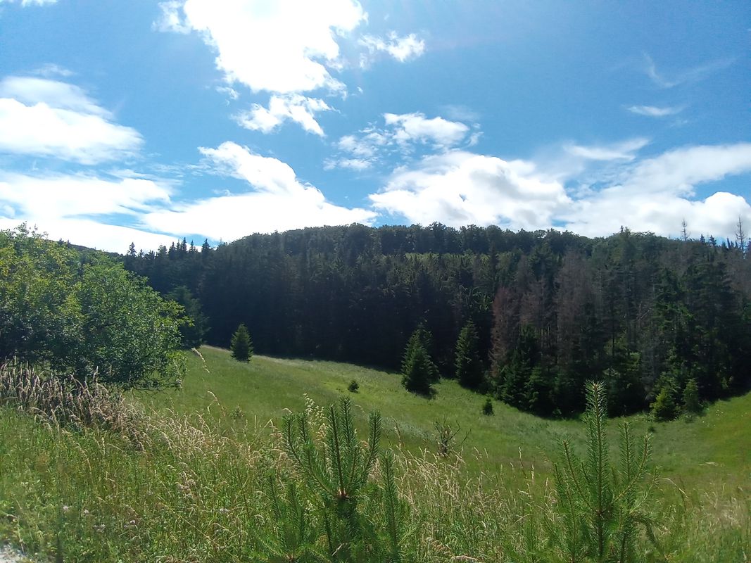 Erzsébet sétány 8, Miskolc to Egri Országút 3517, Miskolc