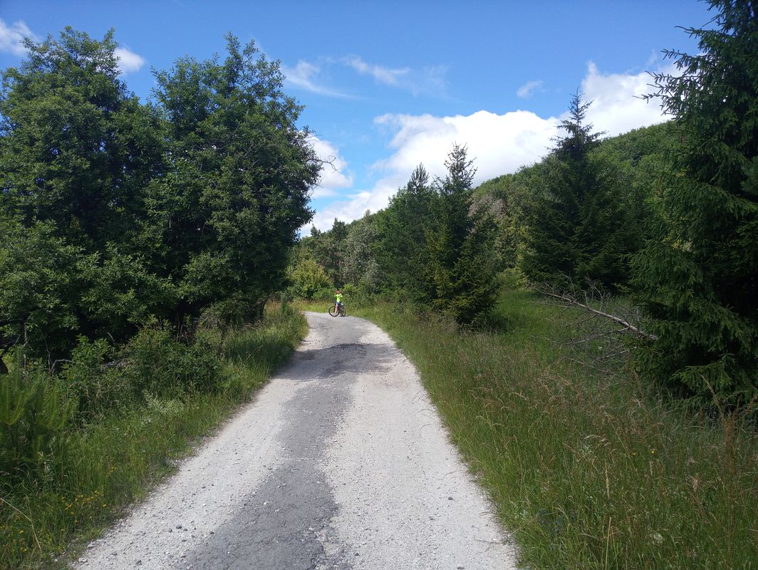 Erzsébet sétány 8, Miskolc to Egri Országút 3517, Miskolc