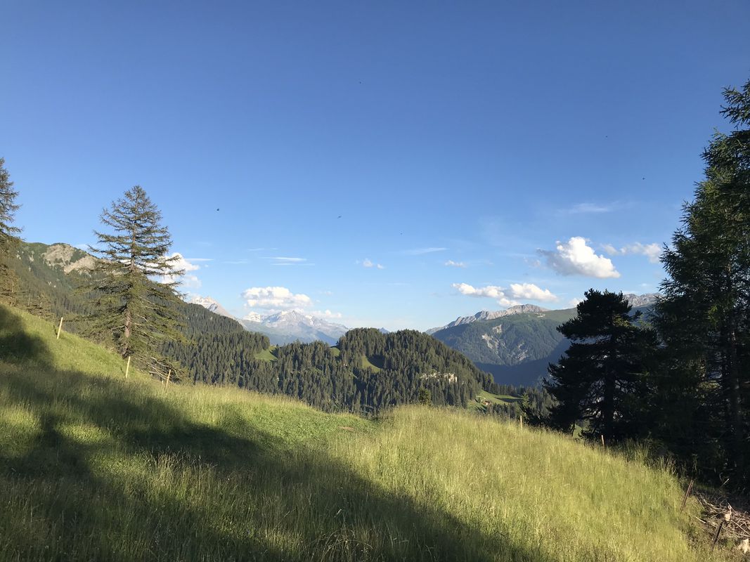 Route nach Almenserstrasse 11–103, Almens