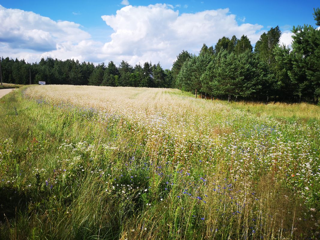Supraśl - Wyżary Kładki