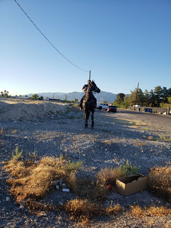 Hollow Oak Avenue 2511, North Las Vegas to North Oroville Circle 3920, Las Vegas